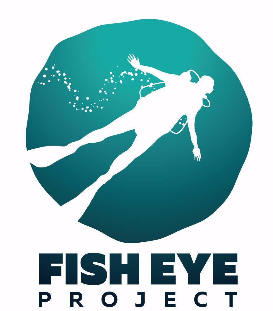 Fish Eye Project Jumbo Journal