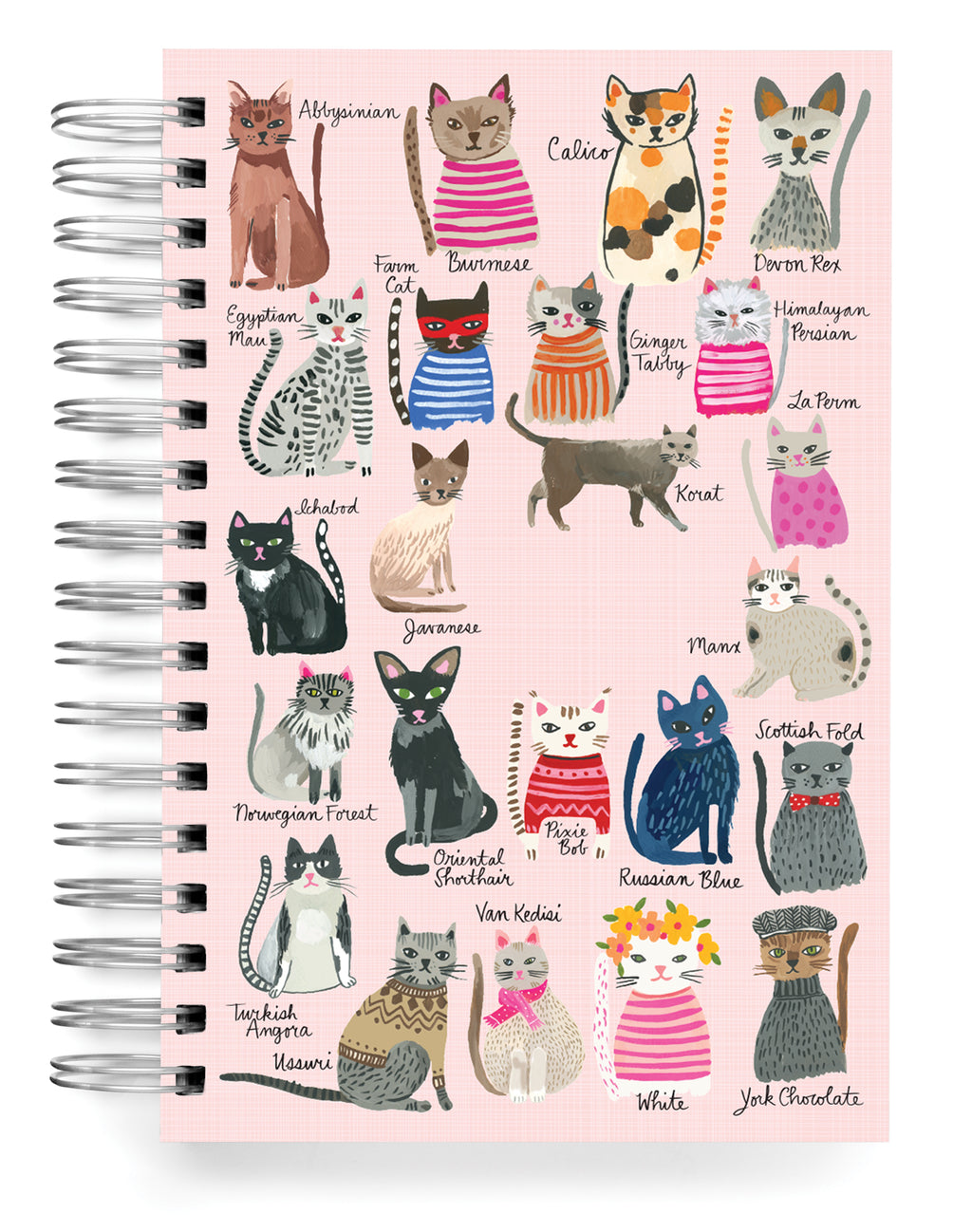 Cool Cats PERSONALIZED Jumbo Journal