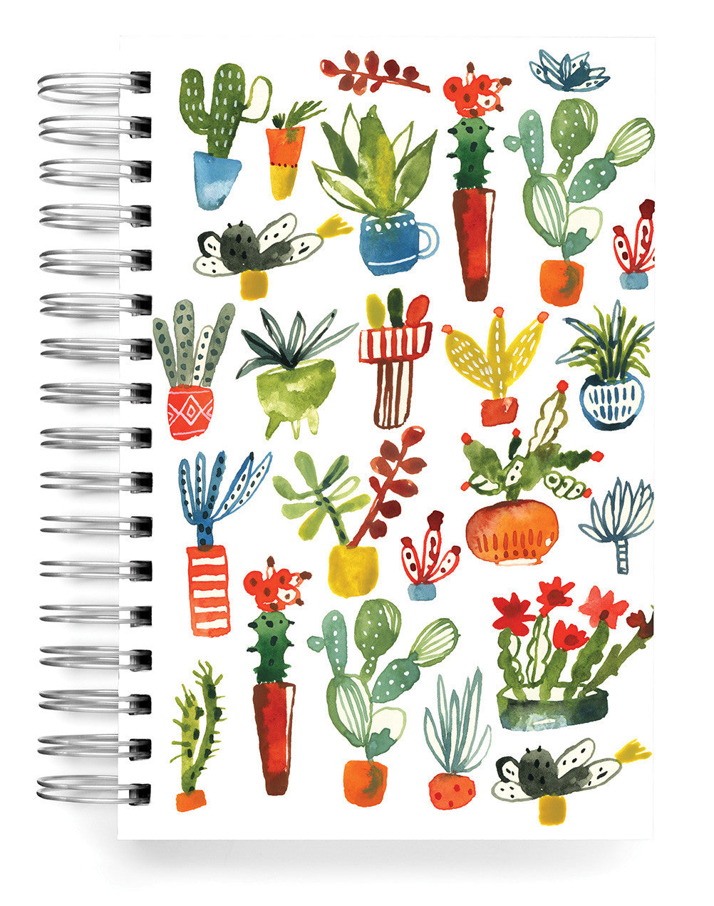 Succulents Jumbo Journal
