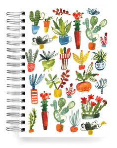 Succulents Jumbo Journal
